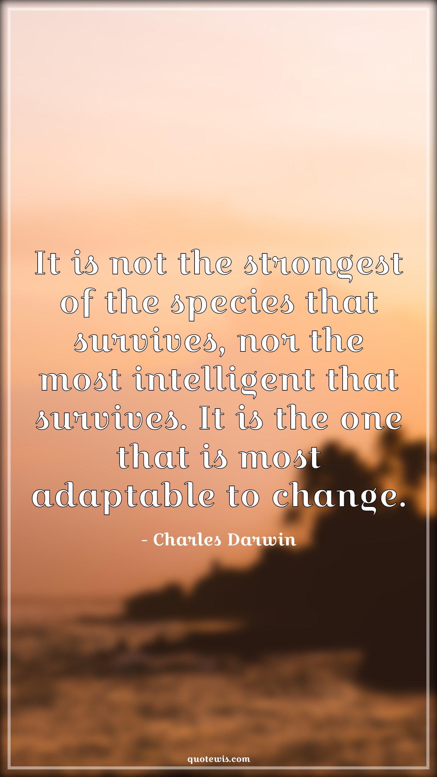 It is not the strongest of the species that survives, nor the most intelligent that survives. It is the one that is most adaptable to change. - Charles Darwin Quotes |  Manage Quotes, Change Quotes, Strong Quotes, Intelligent Quotes, Survive Quotes, Best Quotes, It is not the strongest of the species that survives, nor the most intelligent that survives. It is the one that is most adaptable to change. - Charles Darwin Quotes |  Manage Quotes, Change Quotes, Strong Quotes, Intelligent Quotes, Survive Quotes, Best Quotes,