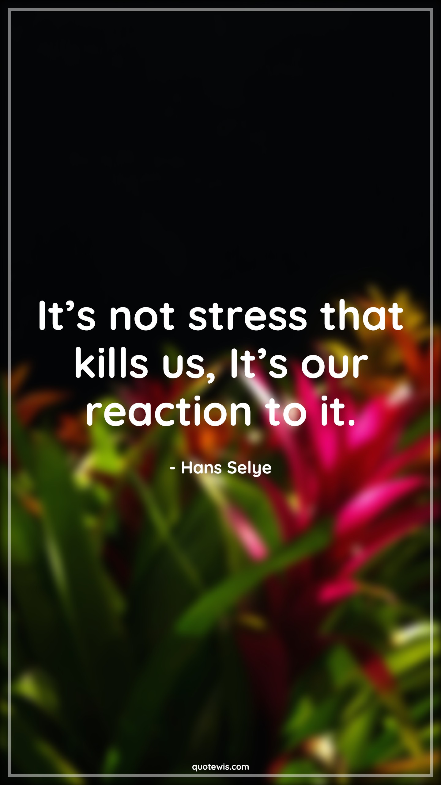 It’s not stress that kills us, It’s our reaction to it. - Hans Selye Quotes |  It’s not stress that kills us, It’s our reaction to it. - Hans Selye Quotes |