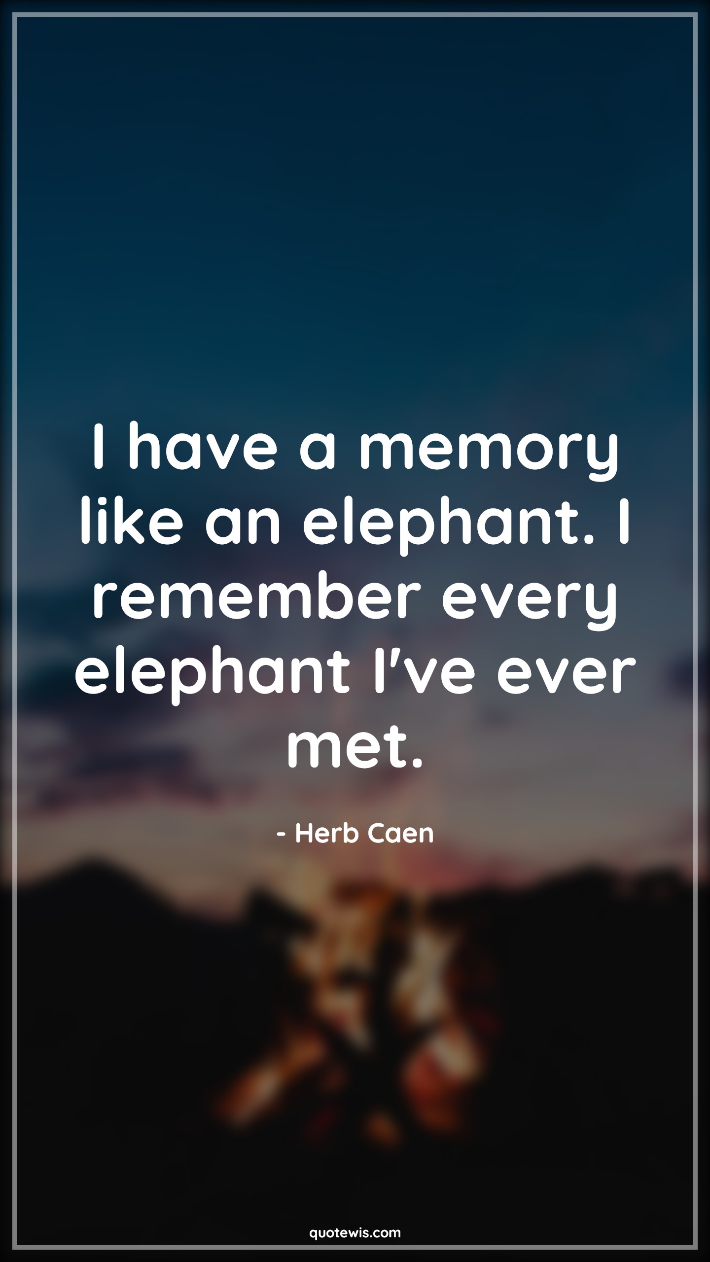 I have a memory like an elephant. I remember every elephant I've ever met. - Herb Caen Quotes |  I have a memory like an elephant. I remember every elephant I've ever met. - Herb Caen Quotes |