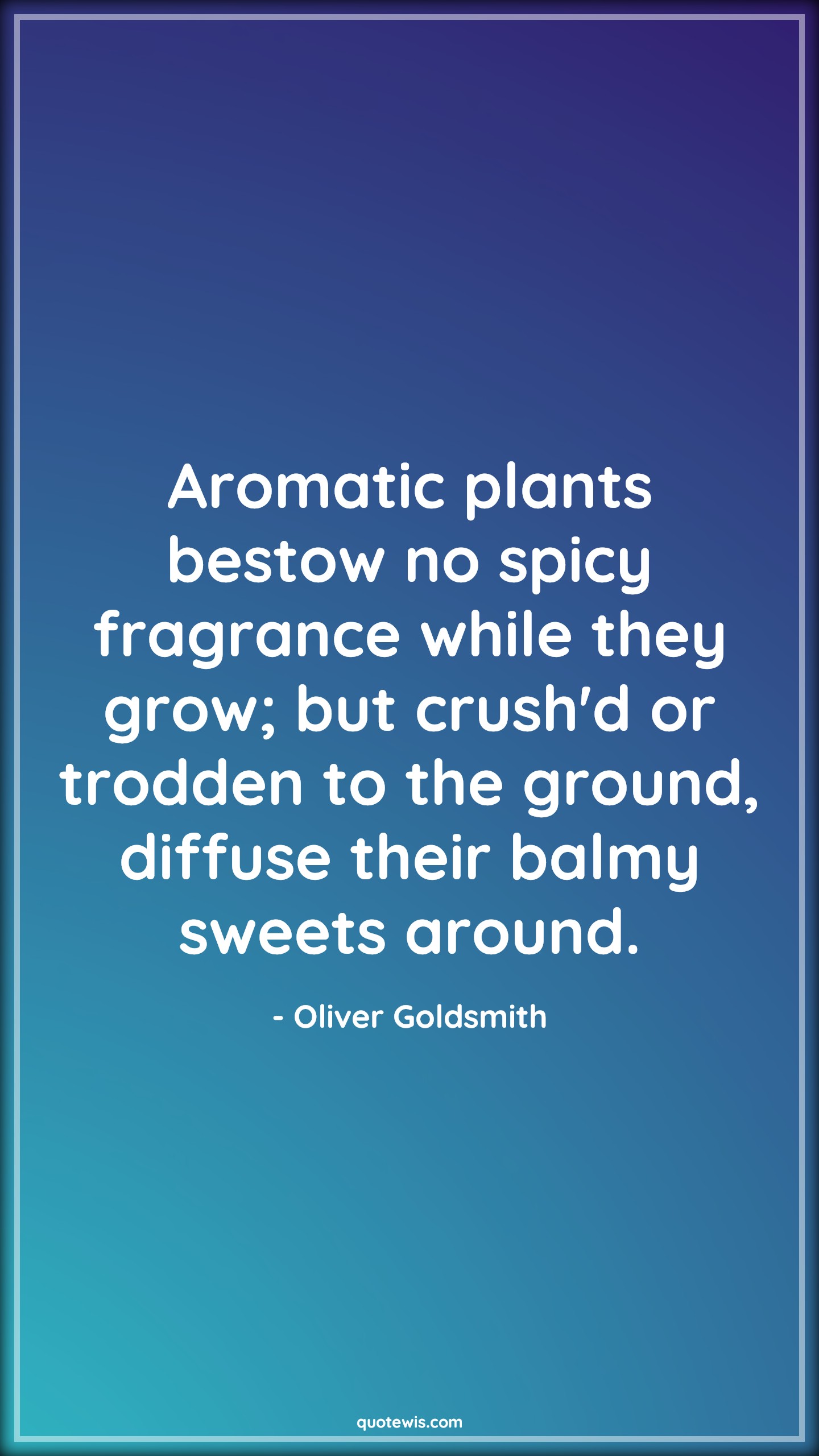 Aromatic plants bestow no spicy fragrance while they grow; but crush'd or trodden to the ground, diffuse their balmy sweets around. - Oliver Goldsmith Quotes |  Adversity Quotes, Aromatic plants bestow no spicy fragrance while they grow; but crush'd or trodden to the ground, diffuse their balmy sweets around. - Oliver Goldsmith Quotes |  Adversity Quotes,
