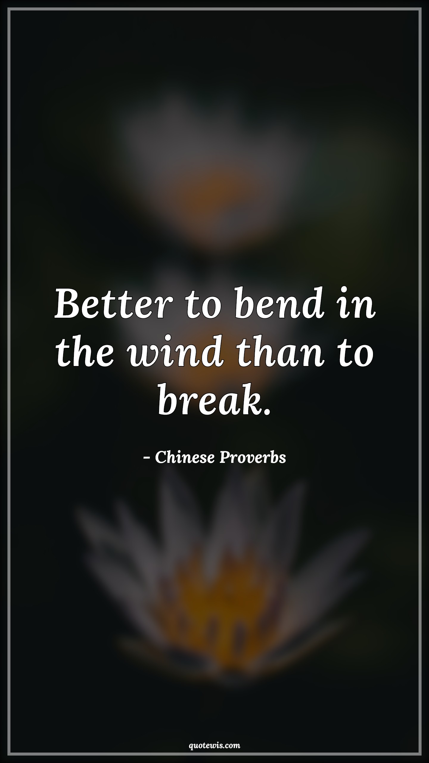 Better to bend in the wind than to break. - Chinese Proverbs Quotes |  Better to bend in the wind than to break. - Chinese Proverbs Quotes |