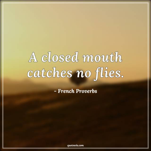 A closed mouth catches no flies. A closed mouth catches no flies.