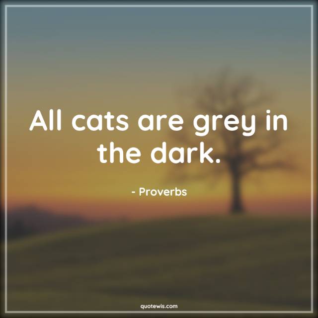 All cats are grey in the dark. All cats are grey in the dark.