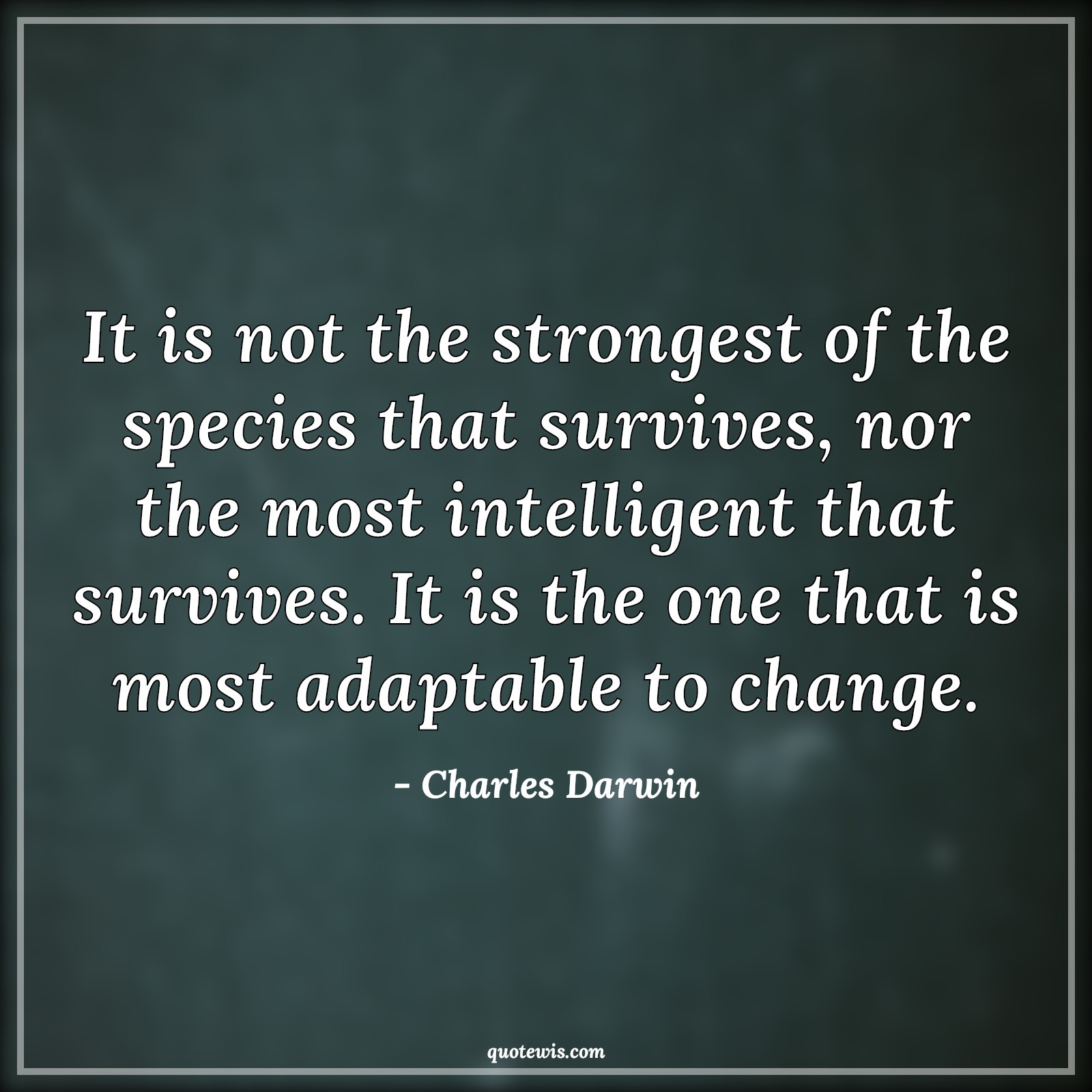 It is not the strongest of the species that survives, nor the most intelligent that survives. It is the one that is most adaptable to change. - Charles Darwin Quotes |  Manage Quotes, Change Quotes, Strong Quotes, Intelligent Quotes, Survive Quotes, Best Quotes, It is not the strongest of the species that survives, nor the most intelligent that survives. It is the one that is most adaptable to change. - Charles Darwin Quotes |  Manage Quotes, Change Quotes, Strong Quotes, Intelligent Quotes, Survive Quotes, Best Quotes,