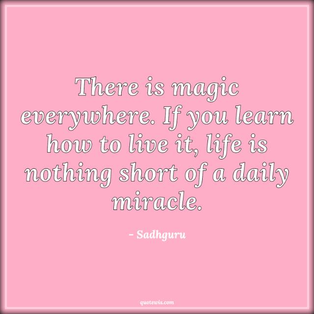 There is magic everywhere. If you learn how to live it, life is nothing short of a daily miracle. There is magic everywhere. If you learn how to live it, life is nothing short of a daily miracle.