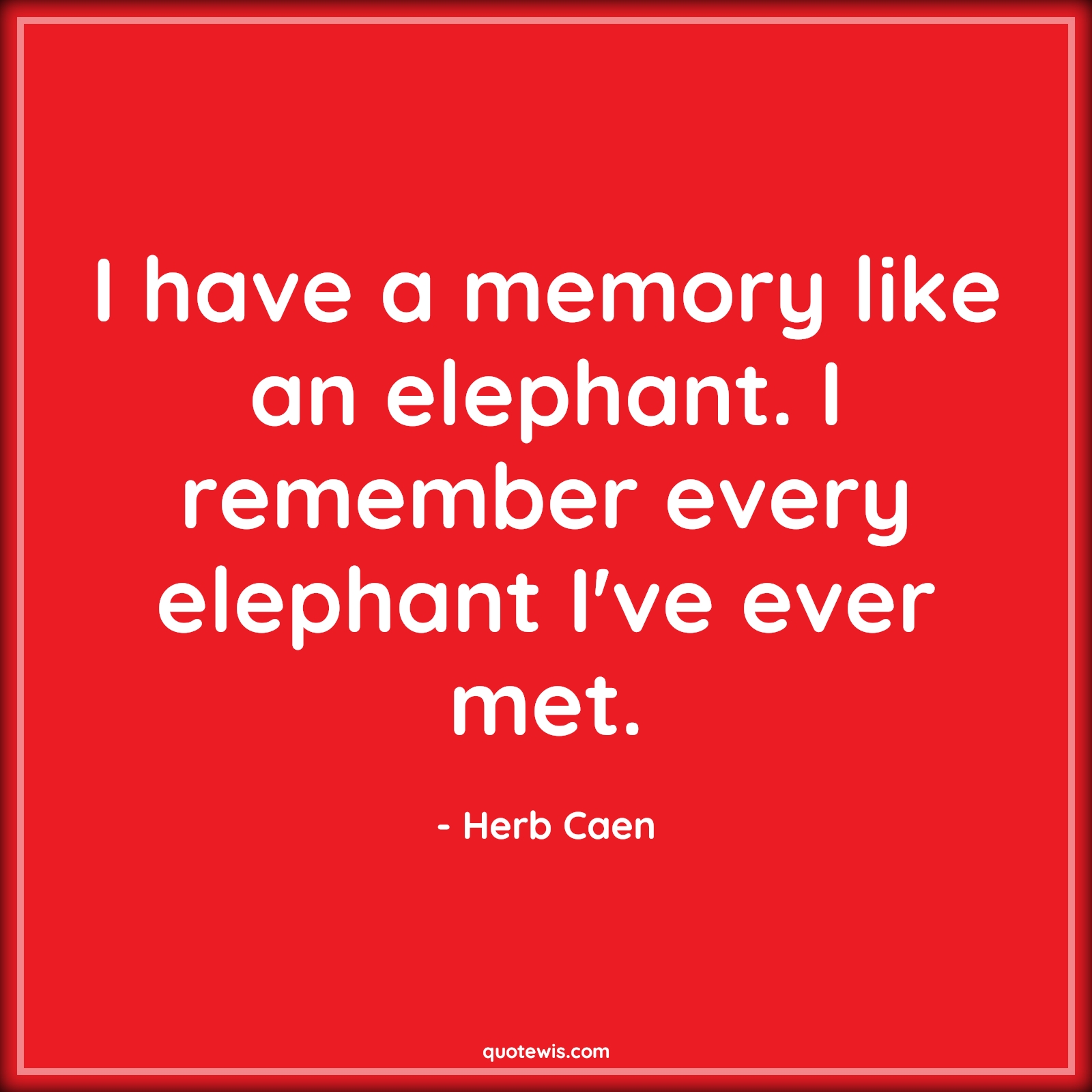 I have a memory like an elephant. I remember every elephant I've ever met. - Herb Caen Quotes |  I have a memory like an elephant. I remember every elephant I've ever met. - Herb Caen Quotes |