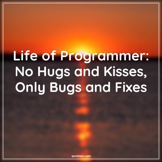 Life of Programmer: No Hugs and Kisses, Only Bugs and Fixes Life of Programmer: No Hugs and Kisses, Only Bugs and Fixes