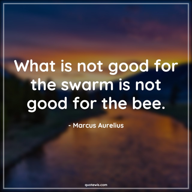 What is not good for the swarm is not good for the bee. What is not good for the swarm is not good for the bee.