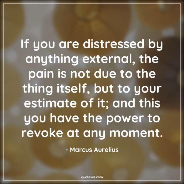 If you are distressed by anything external, the pain is not due to the thing itself, but to your estimate of it; and this you have the power to revoke at any moment. If you are distressed by anything external, the pain is not due to the thing itself, but to your estimate of it; and this you have the power to revoke at any moment.