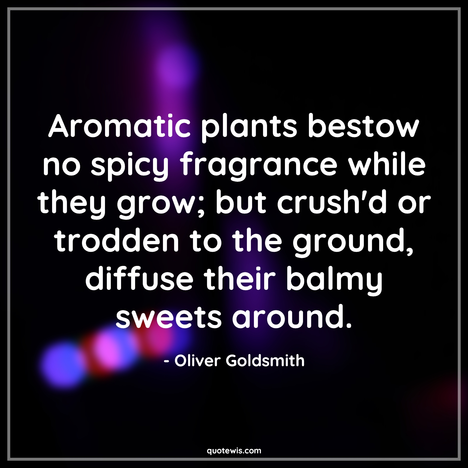 Aromatic plants bestow no spicy fragrance while they grow; but crush'd or trodden to the ground, diffuse their balmy sweets around. - Oliver Goldsmith Quotes |  Adversity Quotes, Aromatic plants bestow no spicy fragrance while they grow; but crush'd or trodden to the ground, diffuse their balmy sweets around. - Oliver Goldsmith Quotes |  Adversity Quotes,