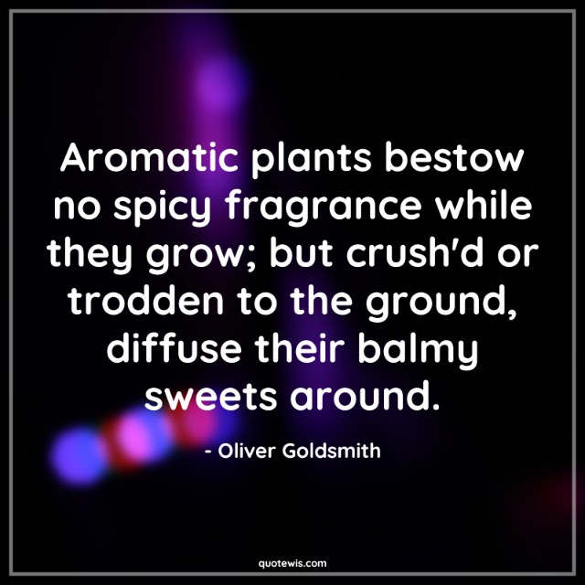 Aromatic plants bestow no spicy fragrance while they grow; but crush'd or trodden to the ground, diffuse their balmy sweets around. Aromatic plants bestow no spicy fragrance while they grow; but crush'd or trodden to the ground, diffuse their balmy sweets around.