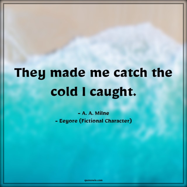 They made me catch the cold I caught. They made me catch the cold I caught.