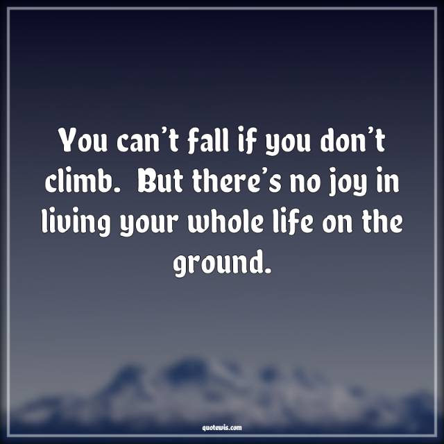 You can’t fall if you don’t climb.  But there’s no joy in living your whole life on the ground. You can’t fall if you don’t climb.  But there’s no joy in living your whole life on the ground.