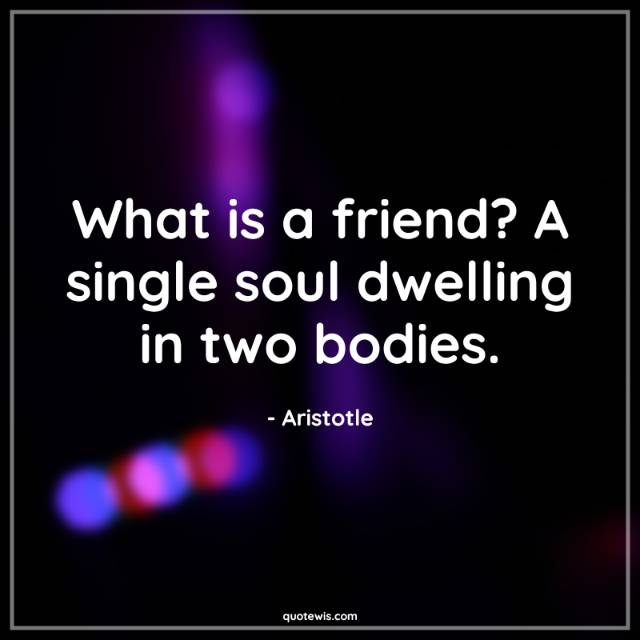 What is a friend? A single soul dwelling in two bodies. What is a friend? A single soul dwelling in two bodies.