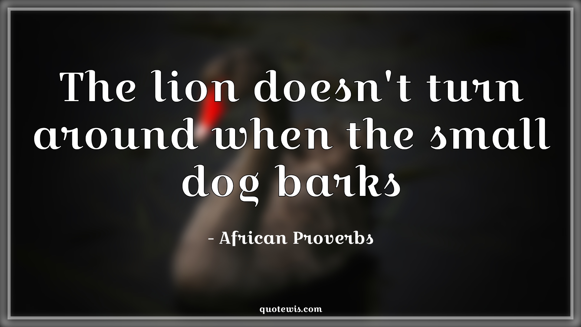 The lion doesn't turn around when the small dog barks - African Proverbs Quotes | 