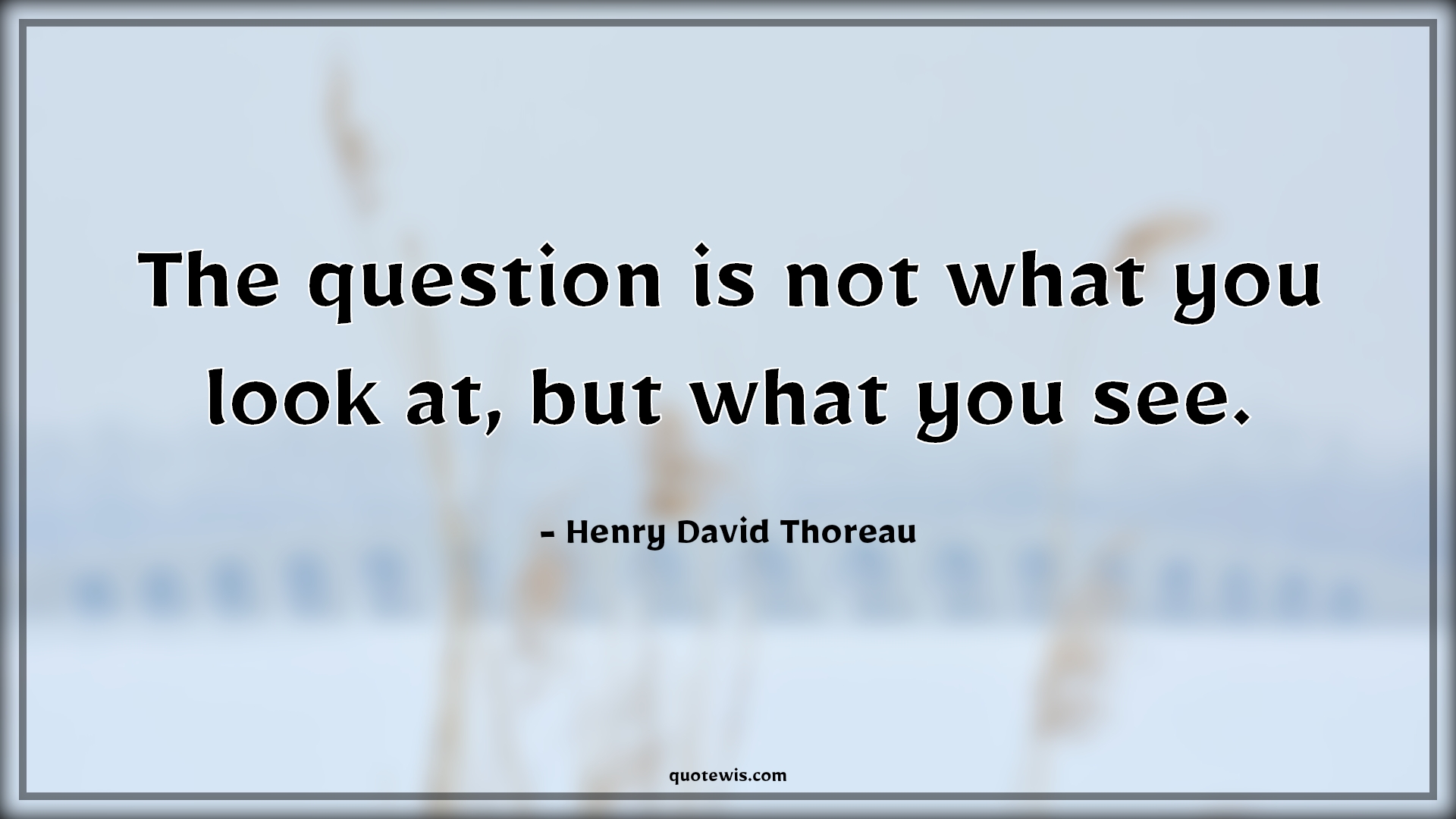 The question is not what you look at, but what you see. - Henry David Thoreau Quotes | 