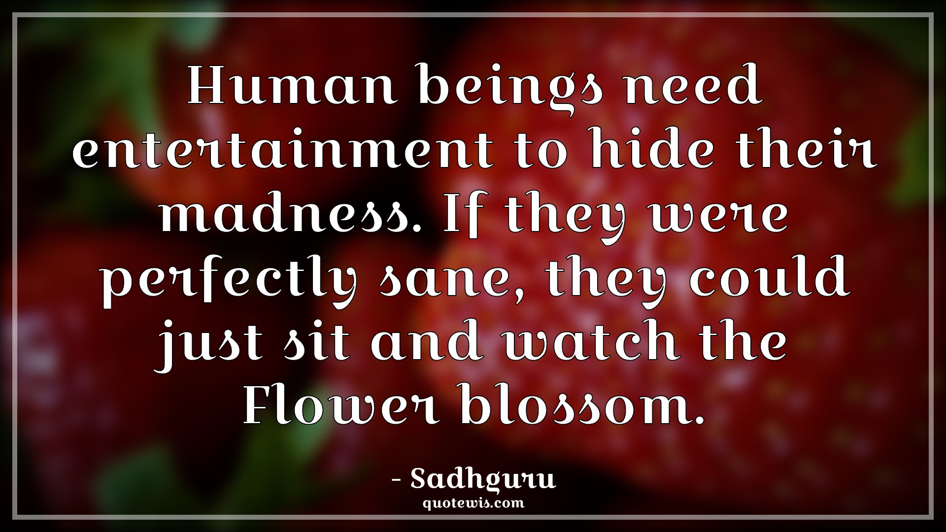 Human beings need entertainment to hide their madness. If they were perfectly sane, they could just sit and watch the Flower blossom. - Sadhguru Quotes |  Human being Quotes, Entertainment Quotes, Madness Quotes, Perfection Quotes, Sane Quotes, Sit Quotes, Watch Quotes, Flower Quotes, Blossom Quotes, Sensible Quotes,