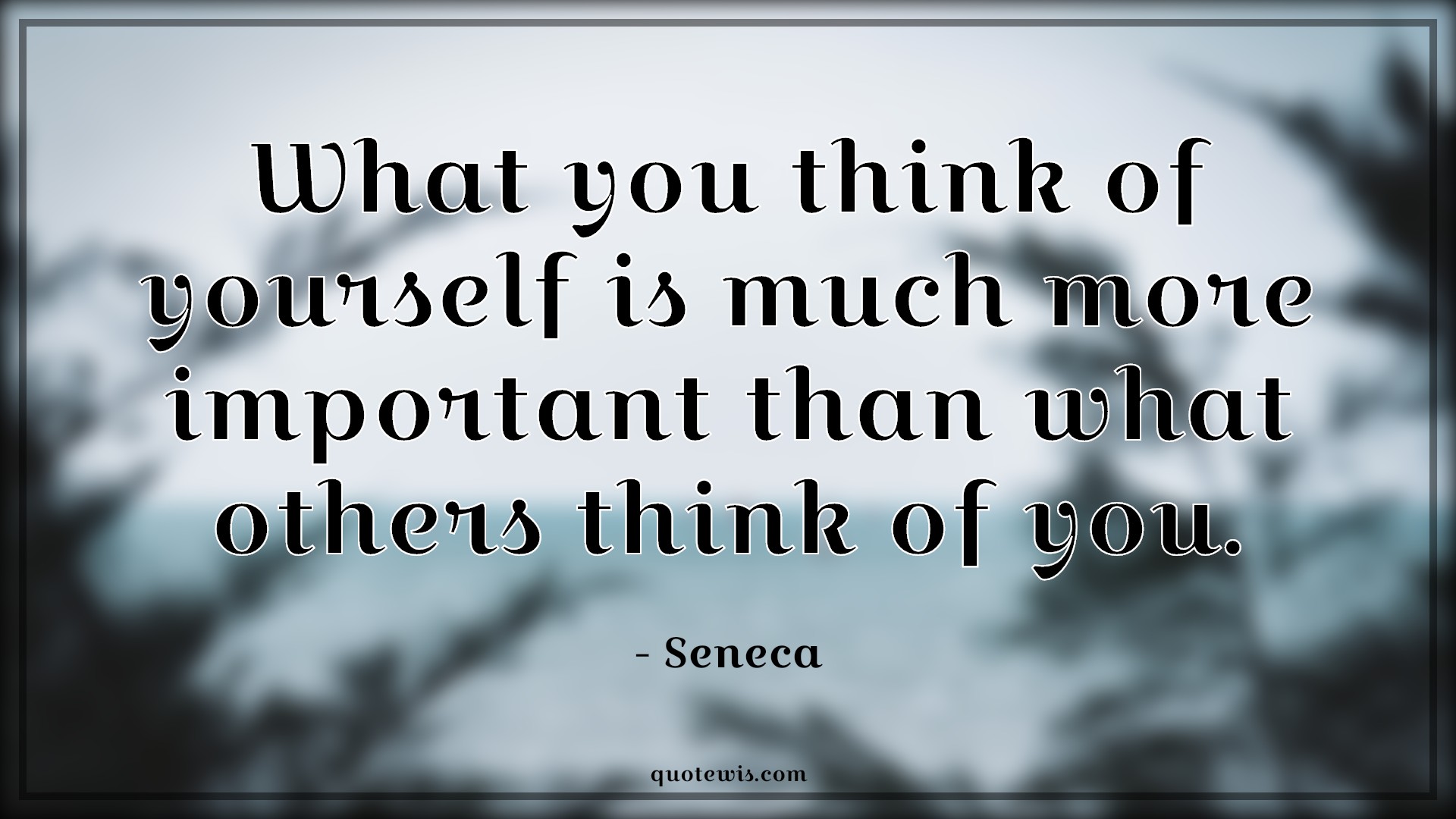 What you think of yourself is much more important than what others think of you. - Seneca Quotes | 