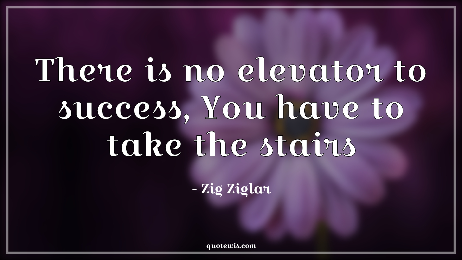 There is no elevator to success, You have to take the stairs - Zig Ziglar Quotes | 
