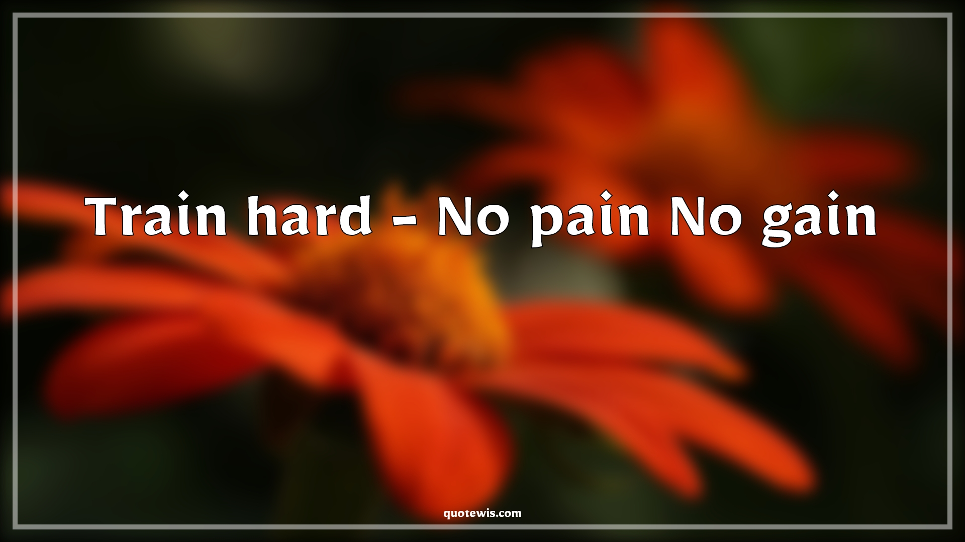 Train hard - No pain No gain - Anonymous Quotes |  Workout Quotes, Workout motivation Quotes, Short workout Quotes, Short Quotes, Training Quotes, Pain Quotes, Gain Quotes, Hard Quotes, Work hard Quotes,