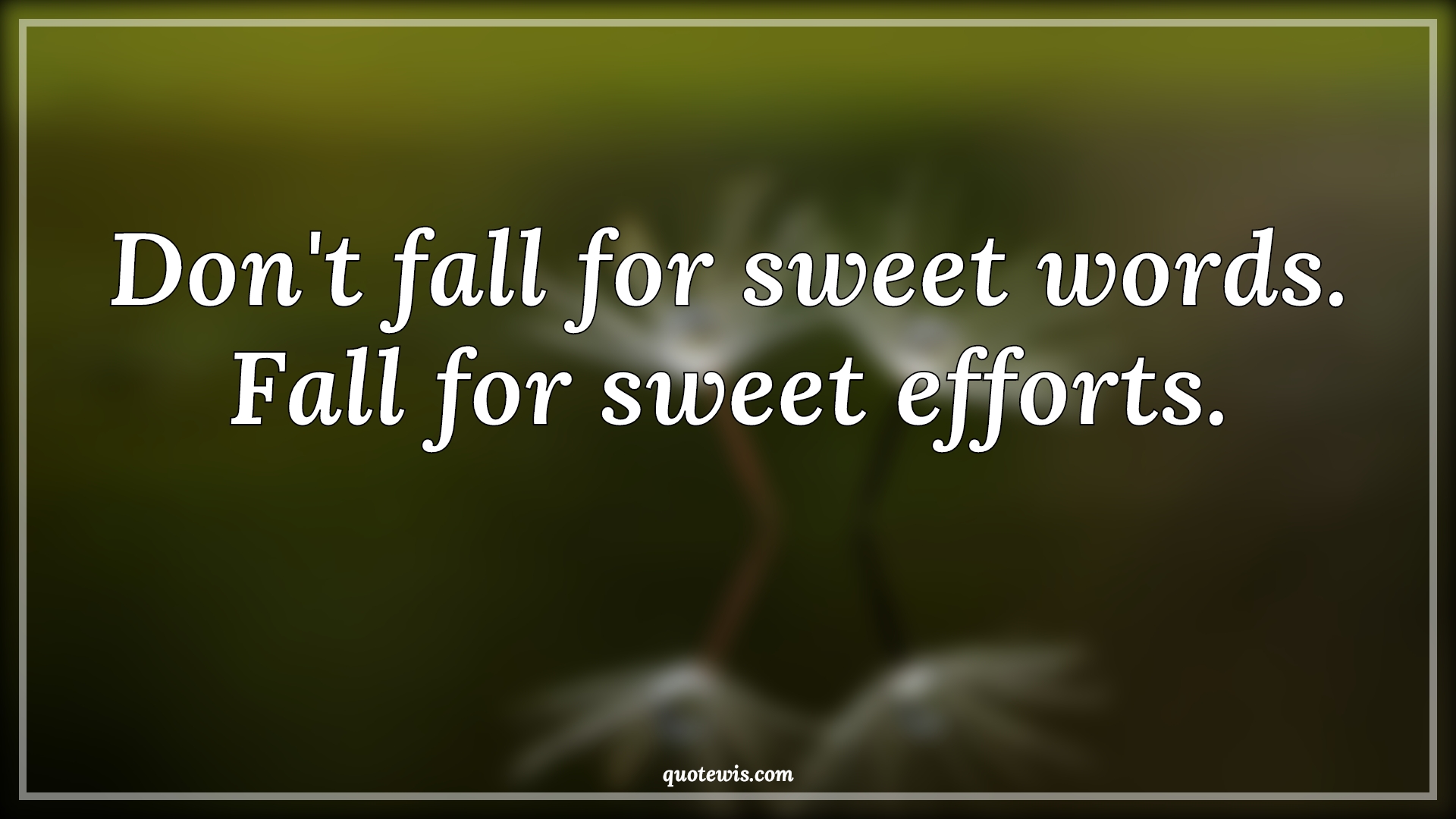 Don't fall for sweet words. Fall for sweet efforts. - Anonymous Quotes | 