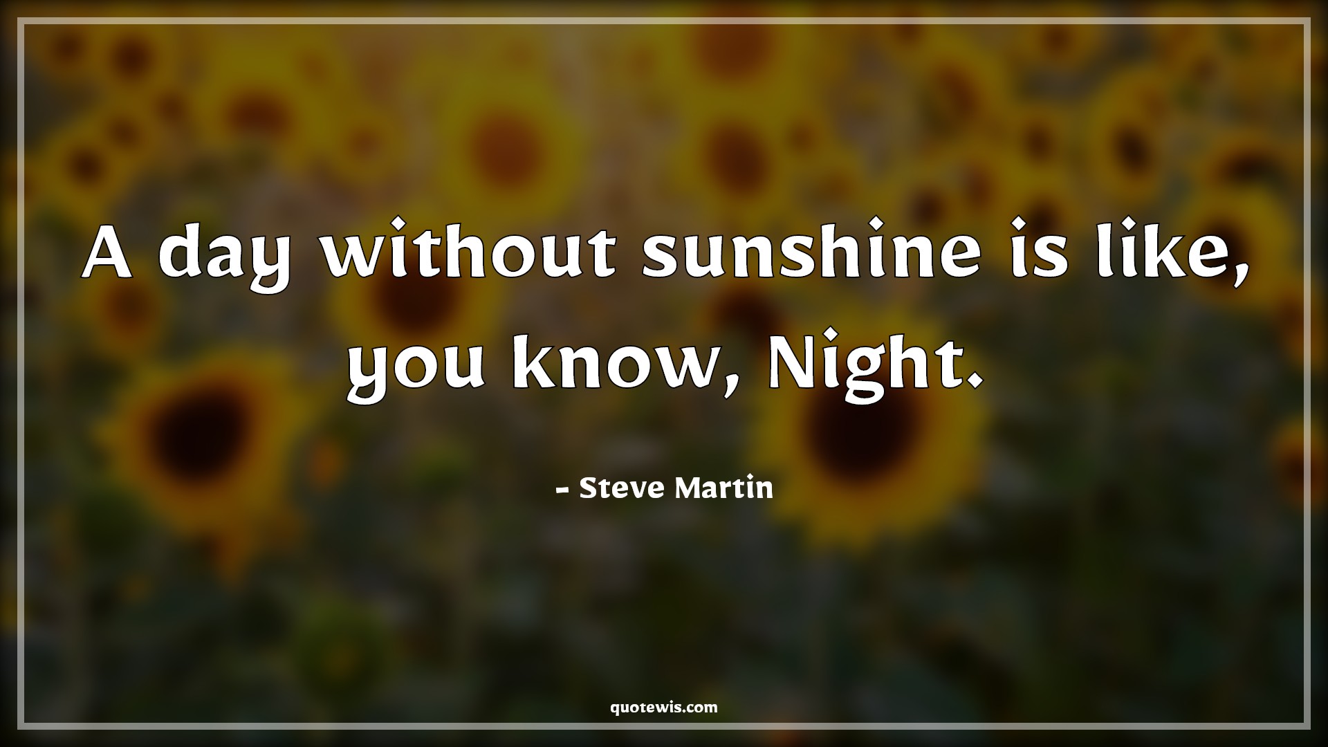 A day without sunshine is like, you know, Night. - Steve Martin Quotes | 