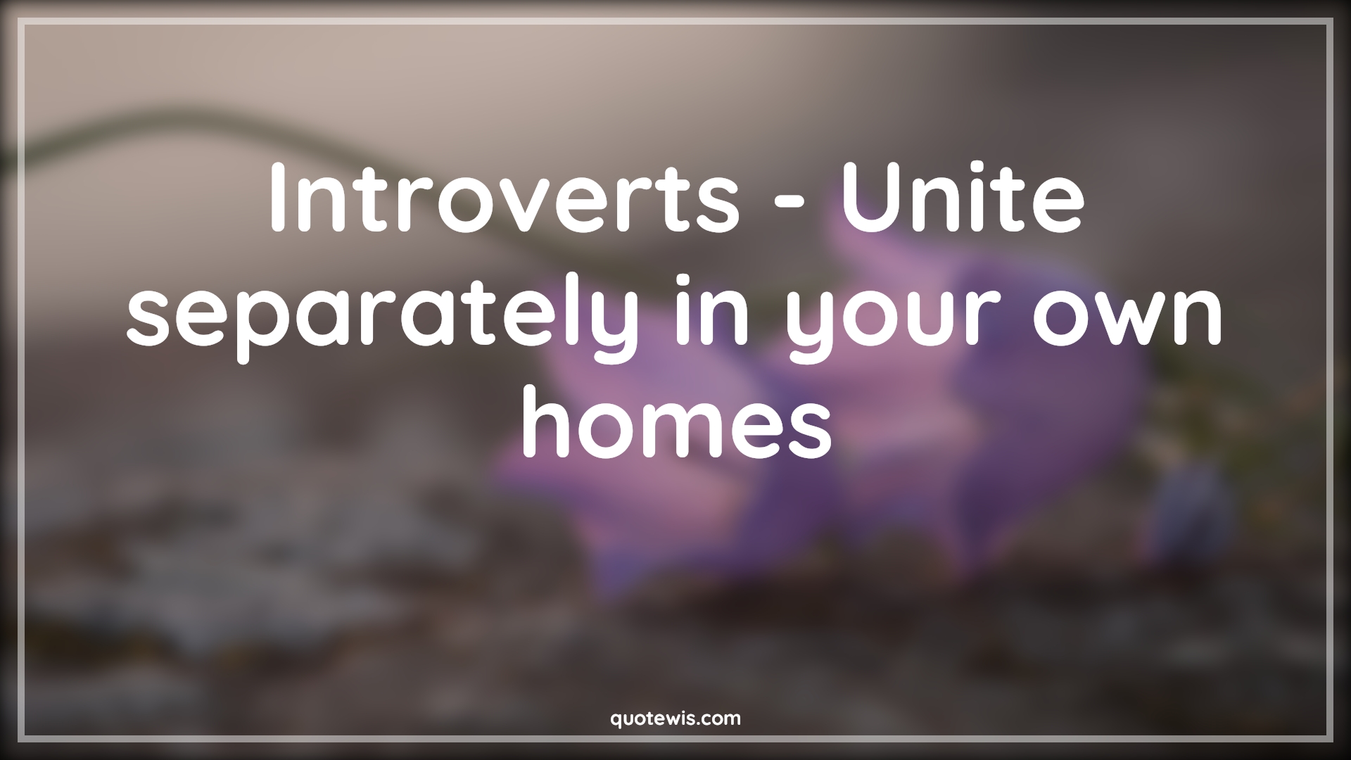Introverts - Unite separately in your own homes - Anonymous Quotes |  Introvert Quotes, Funny Quotes, Short funny Quotes,