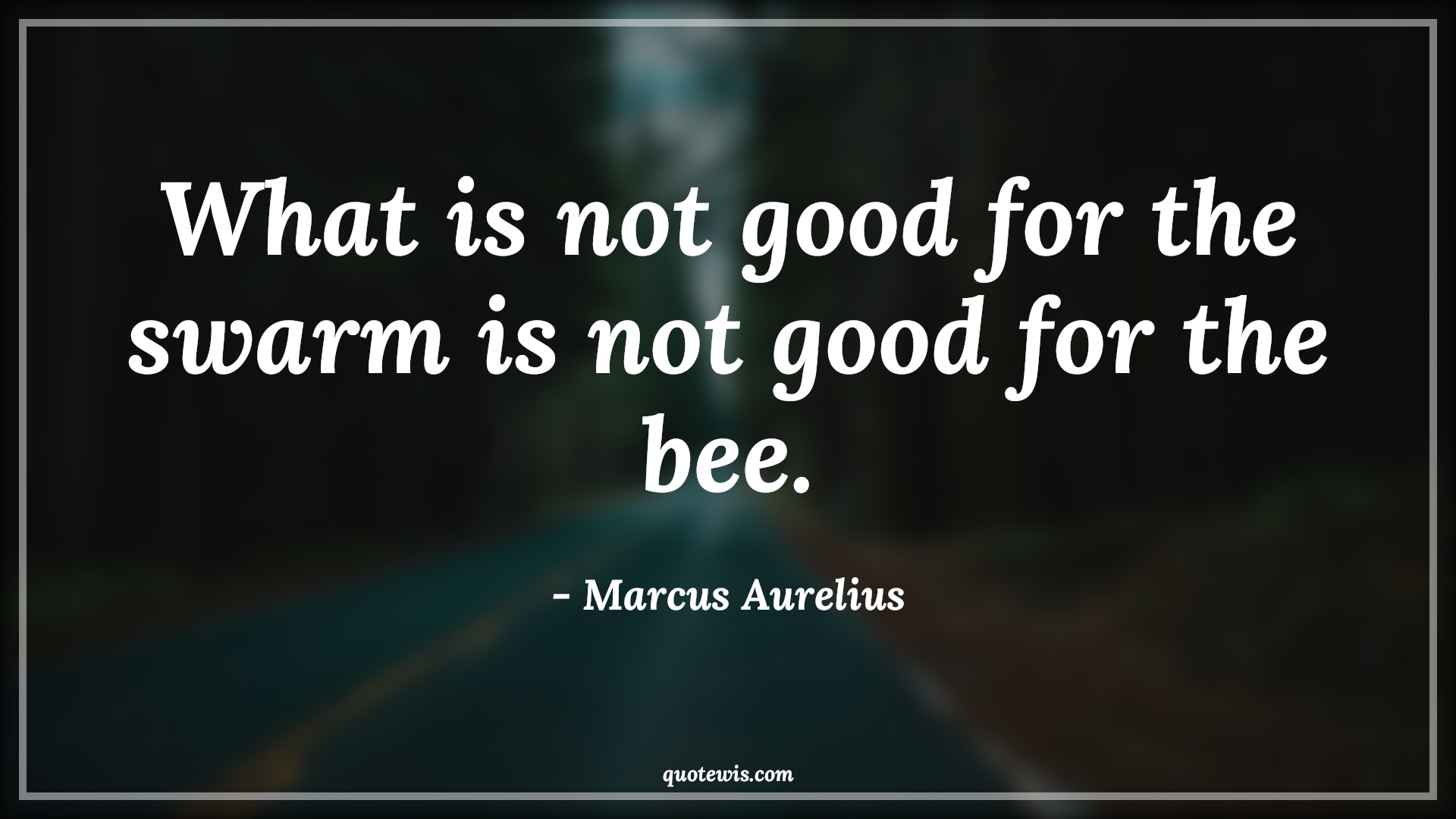 What is not good for the swarm is not good for the bee. - Marcus Aurelius Quotes | 