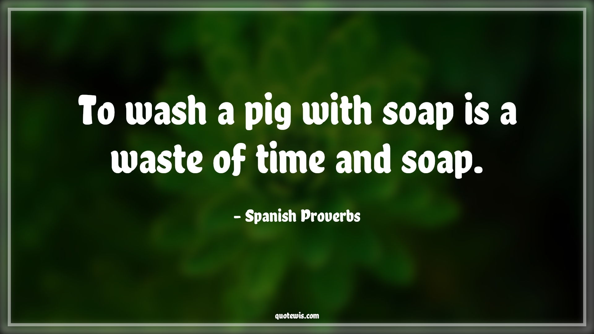 To wash a pig with soap is a waste of time and soap. - Spanish Proverbs Quotes | 