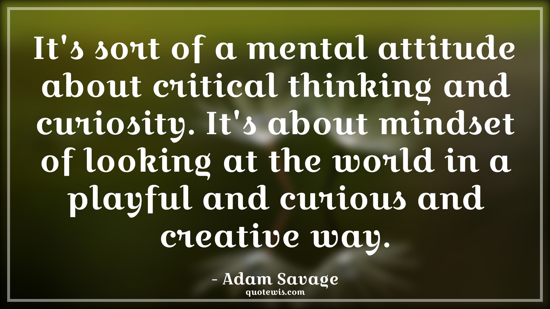 It's sort of a mental attitude about critical thinking and curiosity. It's about mindset of looking at the world in a playful and curious and creative way. - Adam Savage Quotes |  Attitude Quotes,