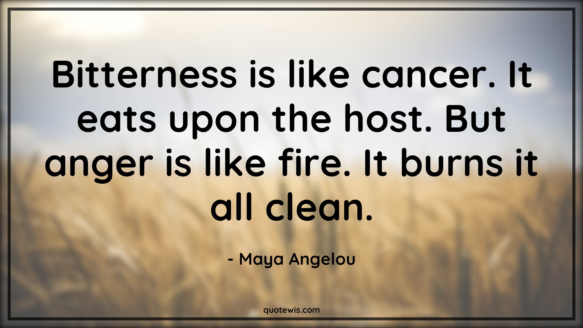 Bitterness is like cancer. It eats upon the host. But anger is like fire. It burns it all clean. - Maya Angelou Quotes |  Anger Quotes,