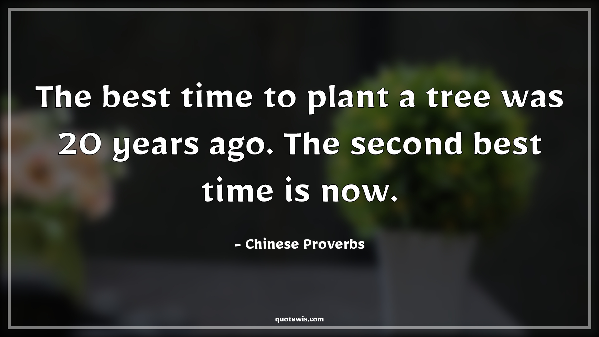 The best time to plant a tree was 20 years ago. The second best time is now. - Chinese Proverbs Quotes | 