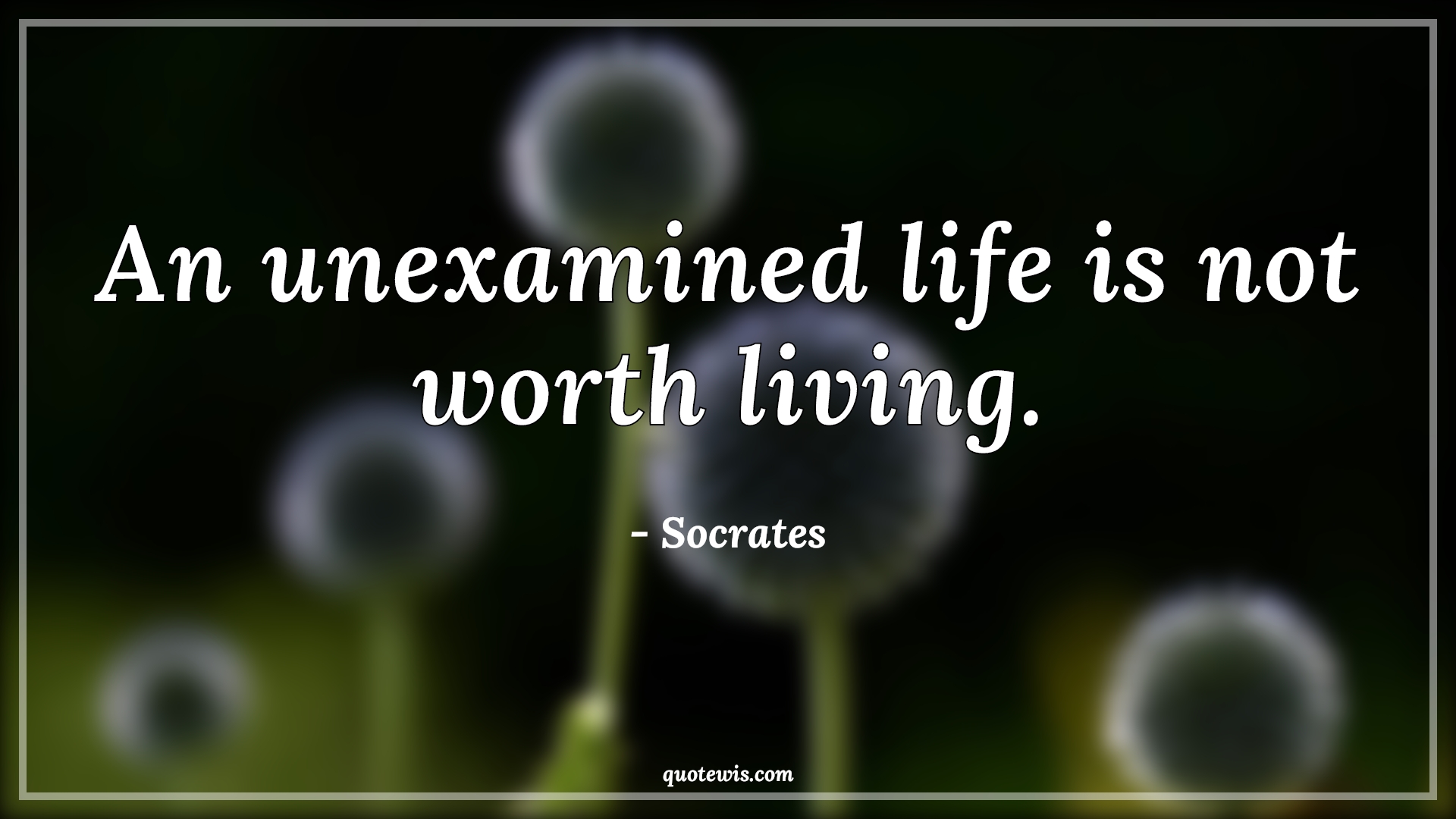 An unexamined life is not worth living. - Socrates Quotes | 