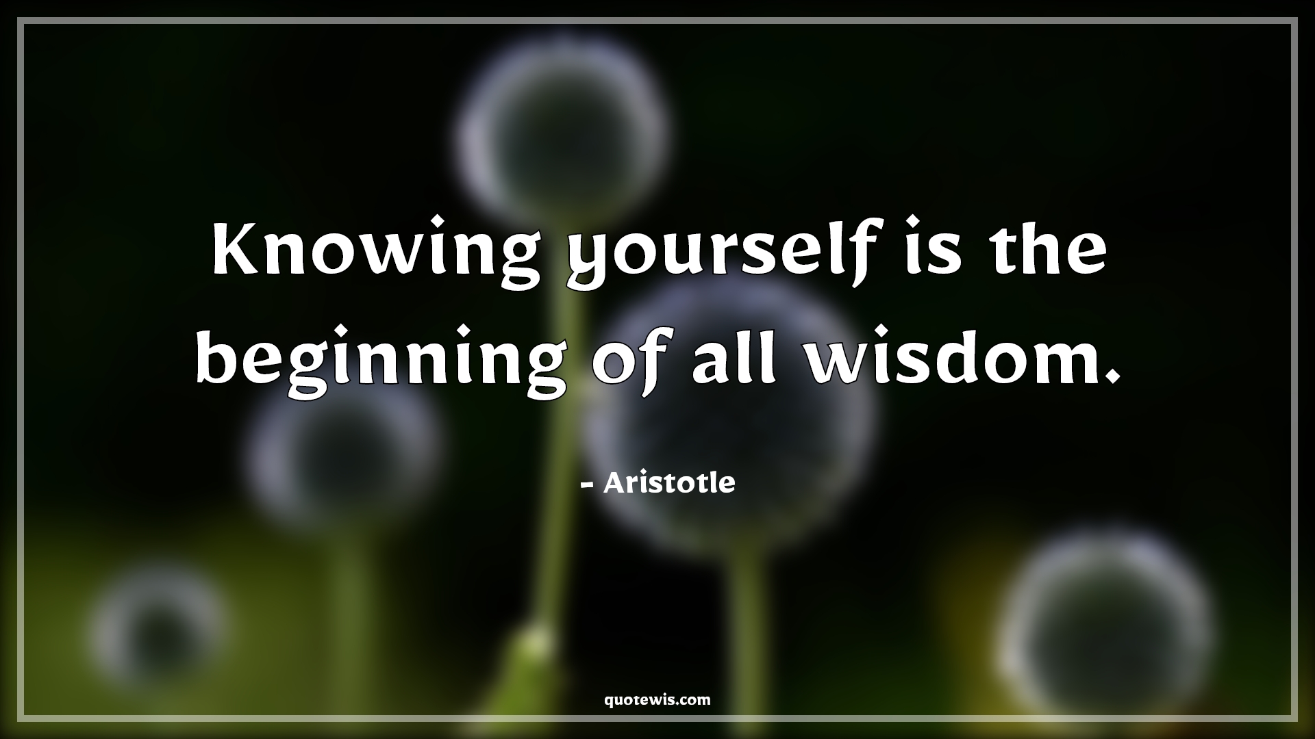 Knowing yourself is the beginning of all wisdom. - Aristotle Quotes |  Introspection Quotes, Self-discovery Quotes, Wisdom Quotes, Life Quotes, Knowledge Quotes, Realization Quotes,