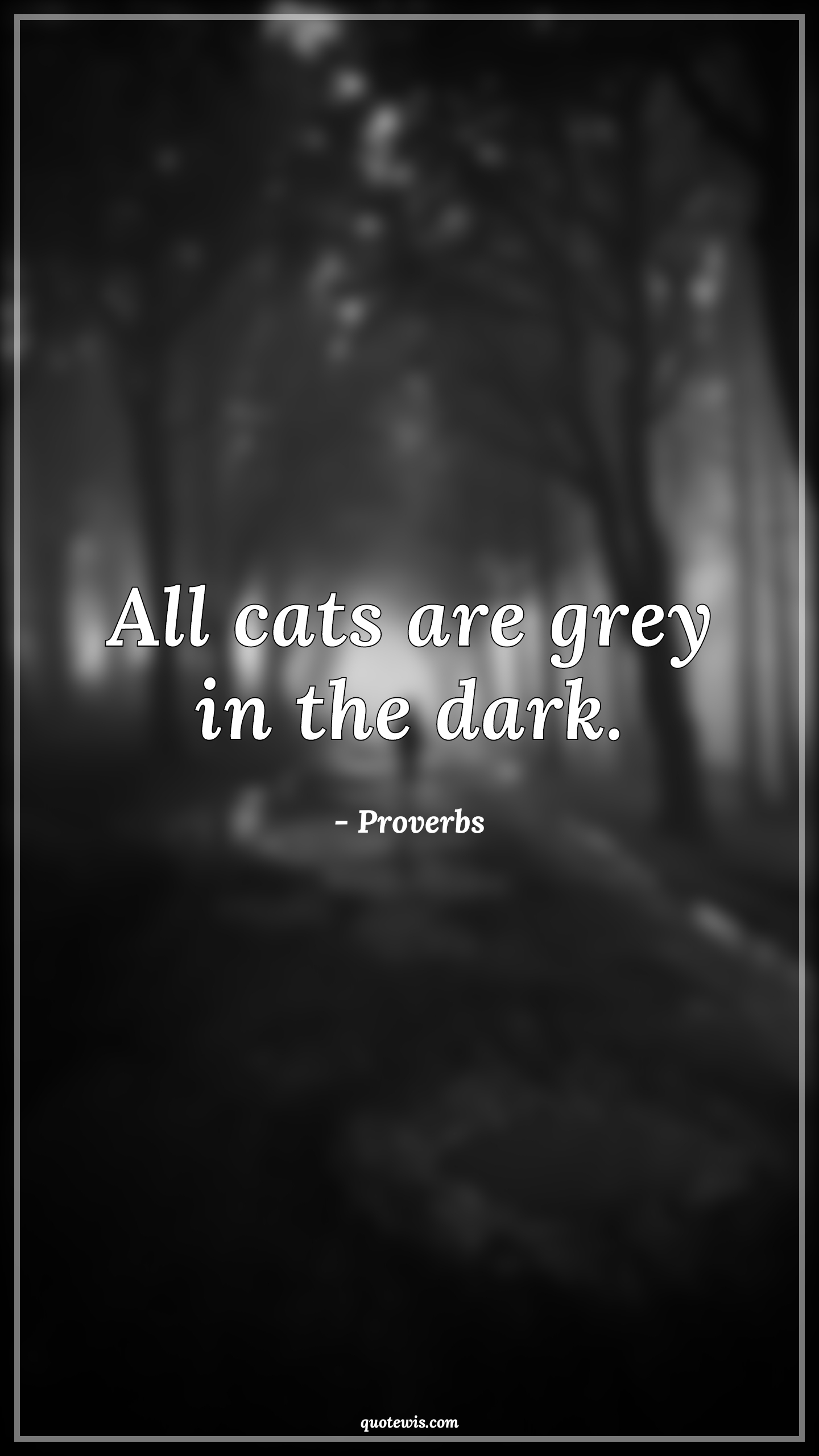 All cats are grey in the dark. - Proverbs Quotes | 