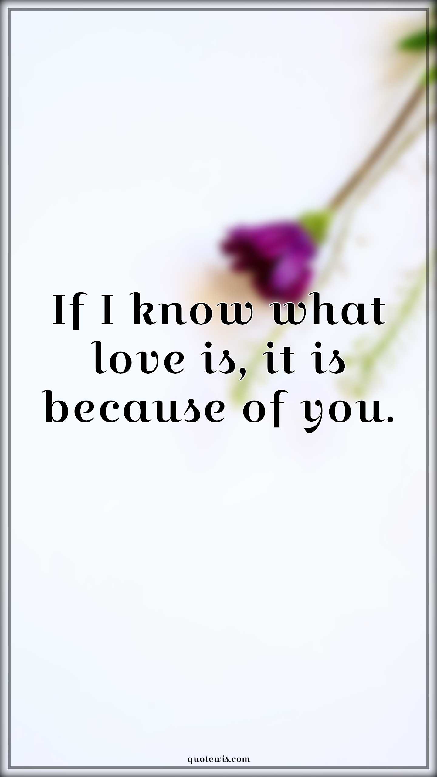 If I know what love is, it is because of you. - Anonymous Quotes |  Love Quotes, Love of my life Quotes, Love Quotes for Him , Love Quotes for Her, True love Quotes, Romantic Quotes, Short love Quotes, Short romantic Quotes,