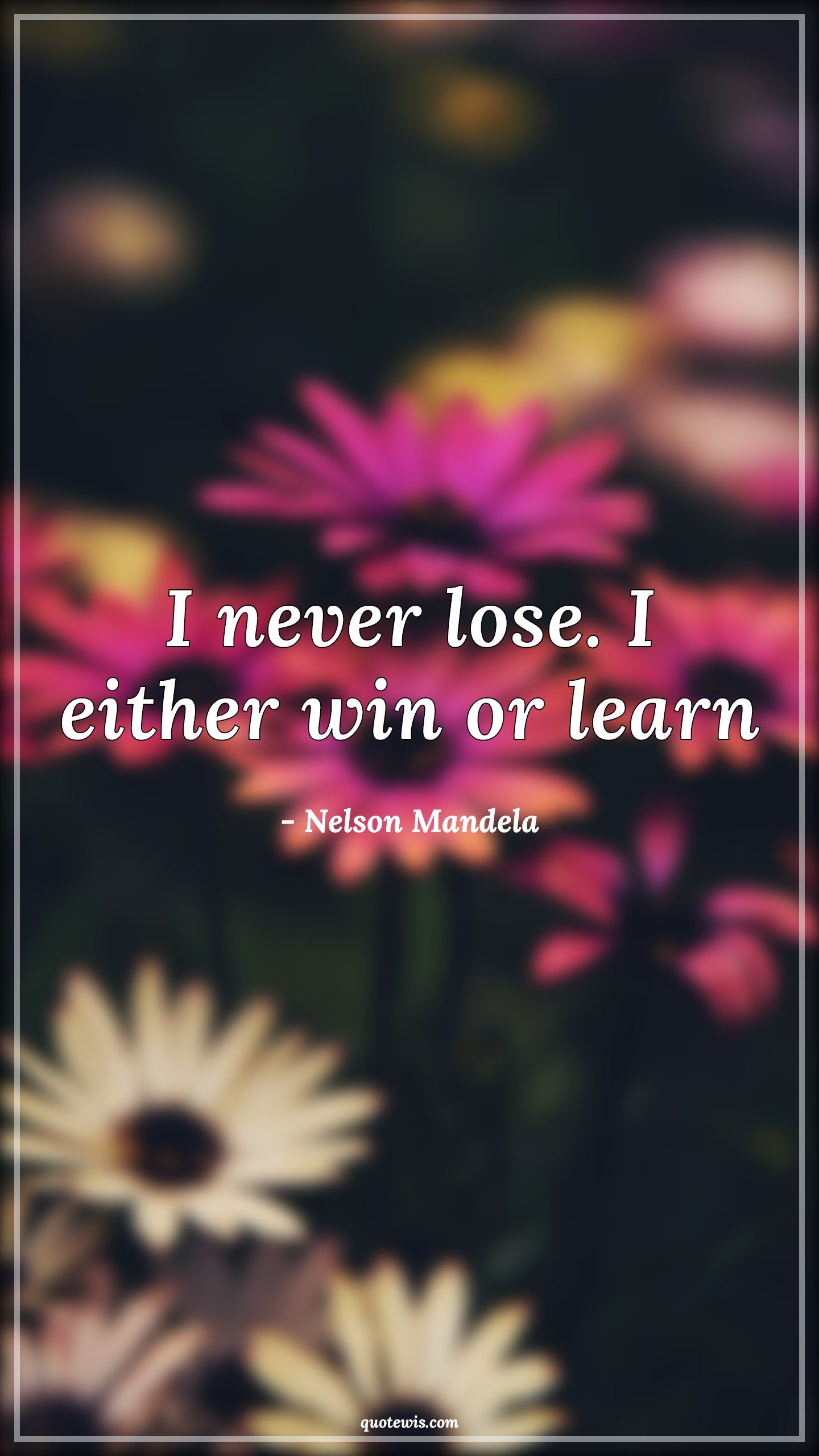 I never lose. I either win or learn - Nelson Mandela Quotes |  Never Quotes, Never fail Quotes, Winning Quotes, Learning Quotes, Short Quotes, Short inspirational Quotes, Inspirational Quotes,