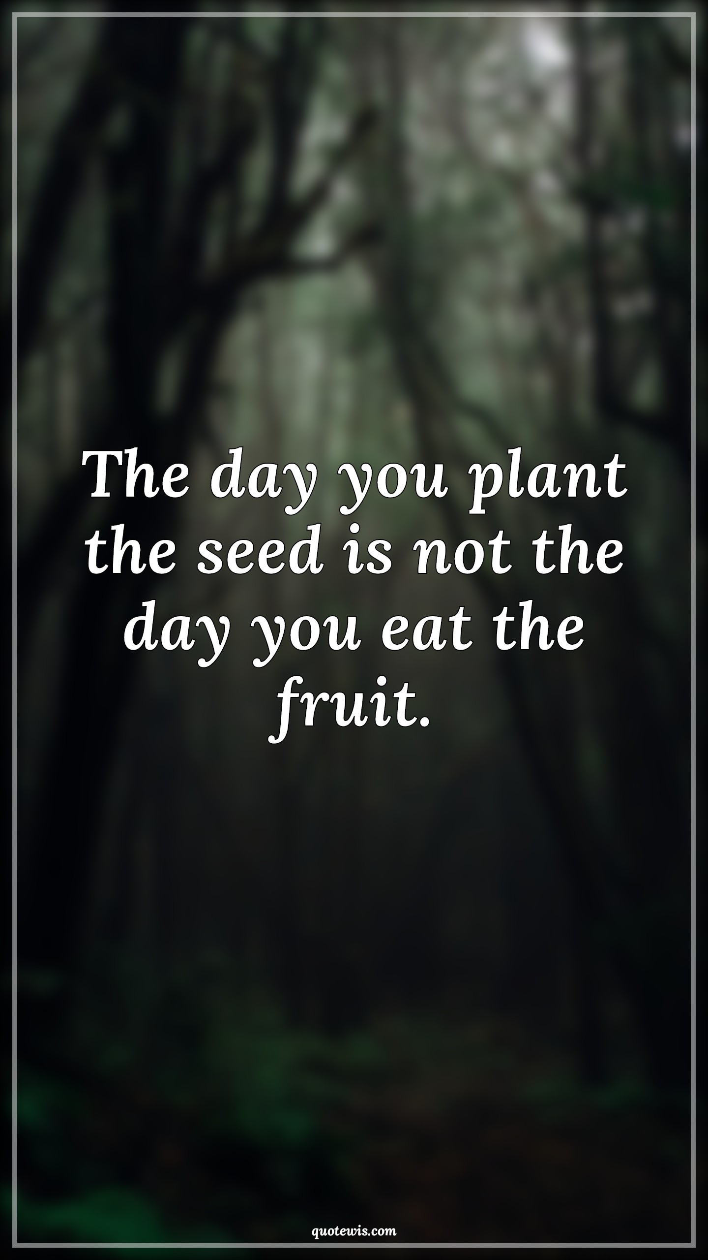 The day you plant the seed is not the day you eat the fruit. - Anonymous Quotes |  Be patient Quotes, Patience Quotes, Plant Quotes, Seed Quotes, Fruit Quotes, Eat Quotes, Short Quotes,