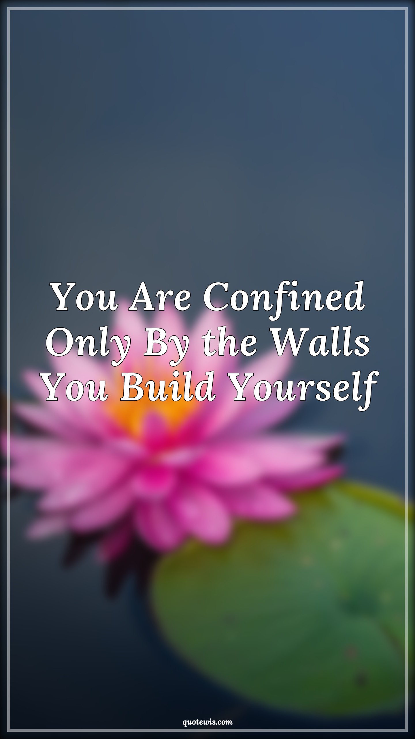You Are Confined Only By the Walls You Build Yourself - Anonymous Quotes | 