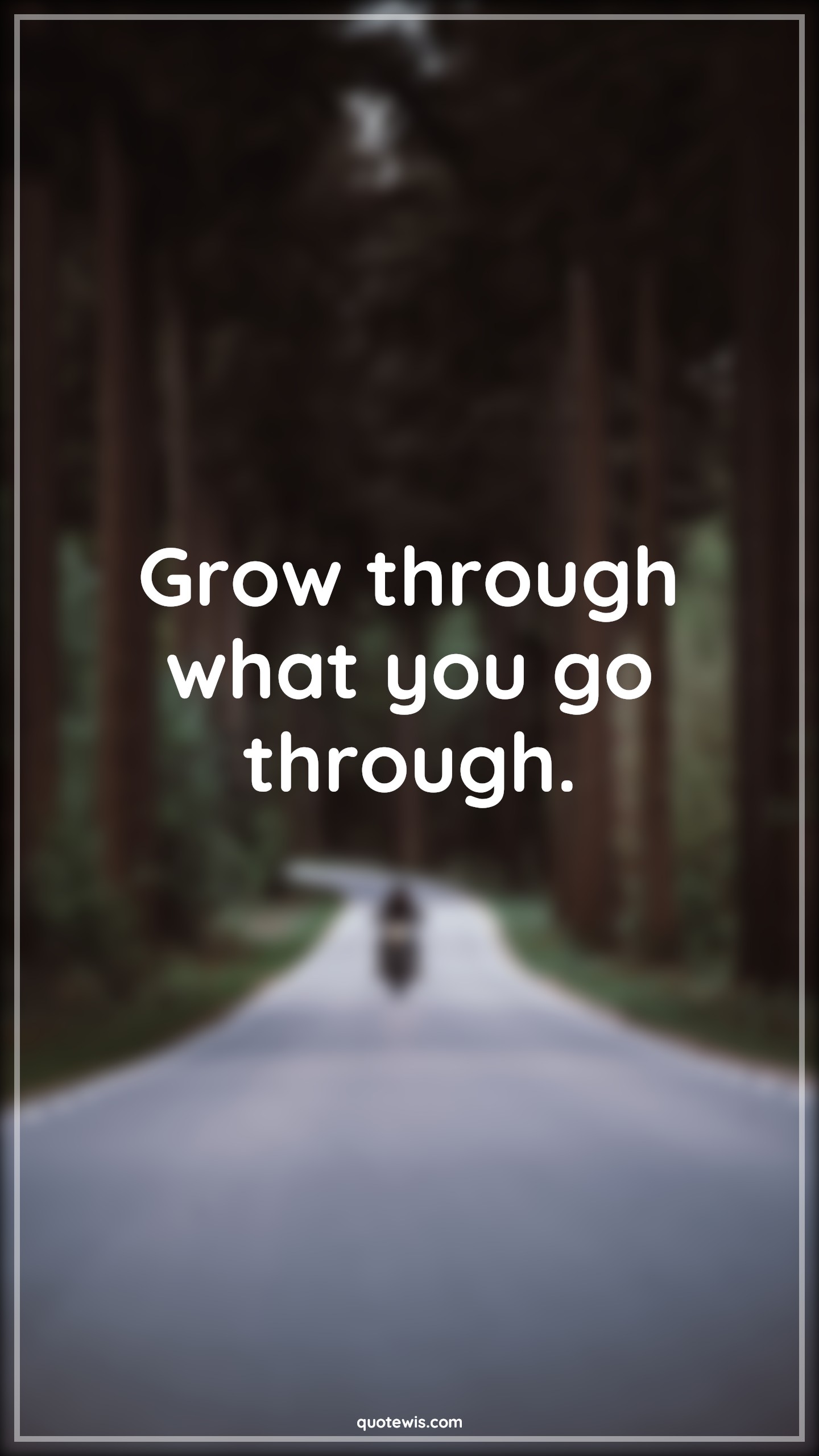 Grow through what you go through. - Anonymous Quotes | 