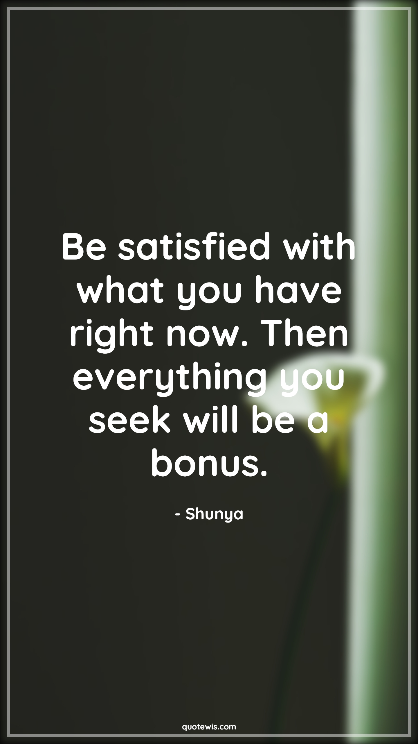 Be satisfied with what you have right now. Then everything you seek will be a bonus. - Shunya Quotes | 