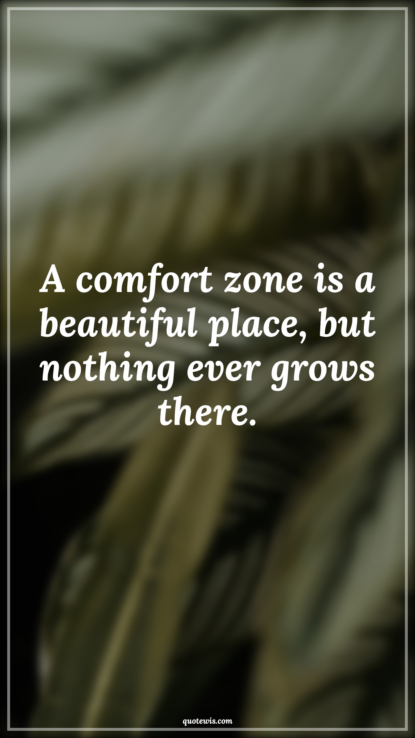 A comfort zone is a beautiful place, but nothing ever grows there. - Anonymous Quotes | 