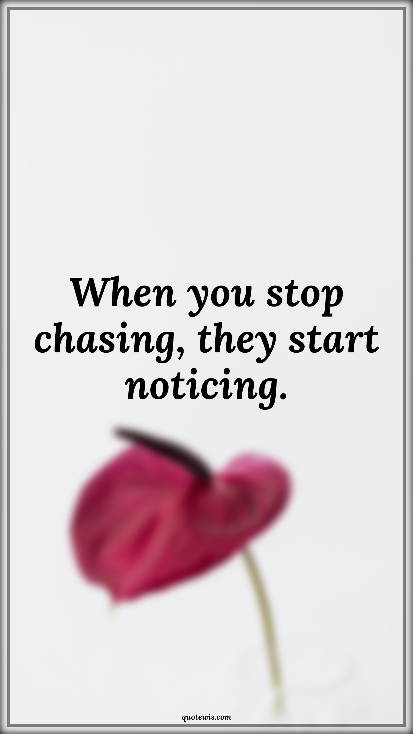 When you stop chasing, they start noticing. - Anonymous Quotes |  Stop Quotes, Stop giving attention Quotes, Be-yourself Quotes, Short Quotes,
