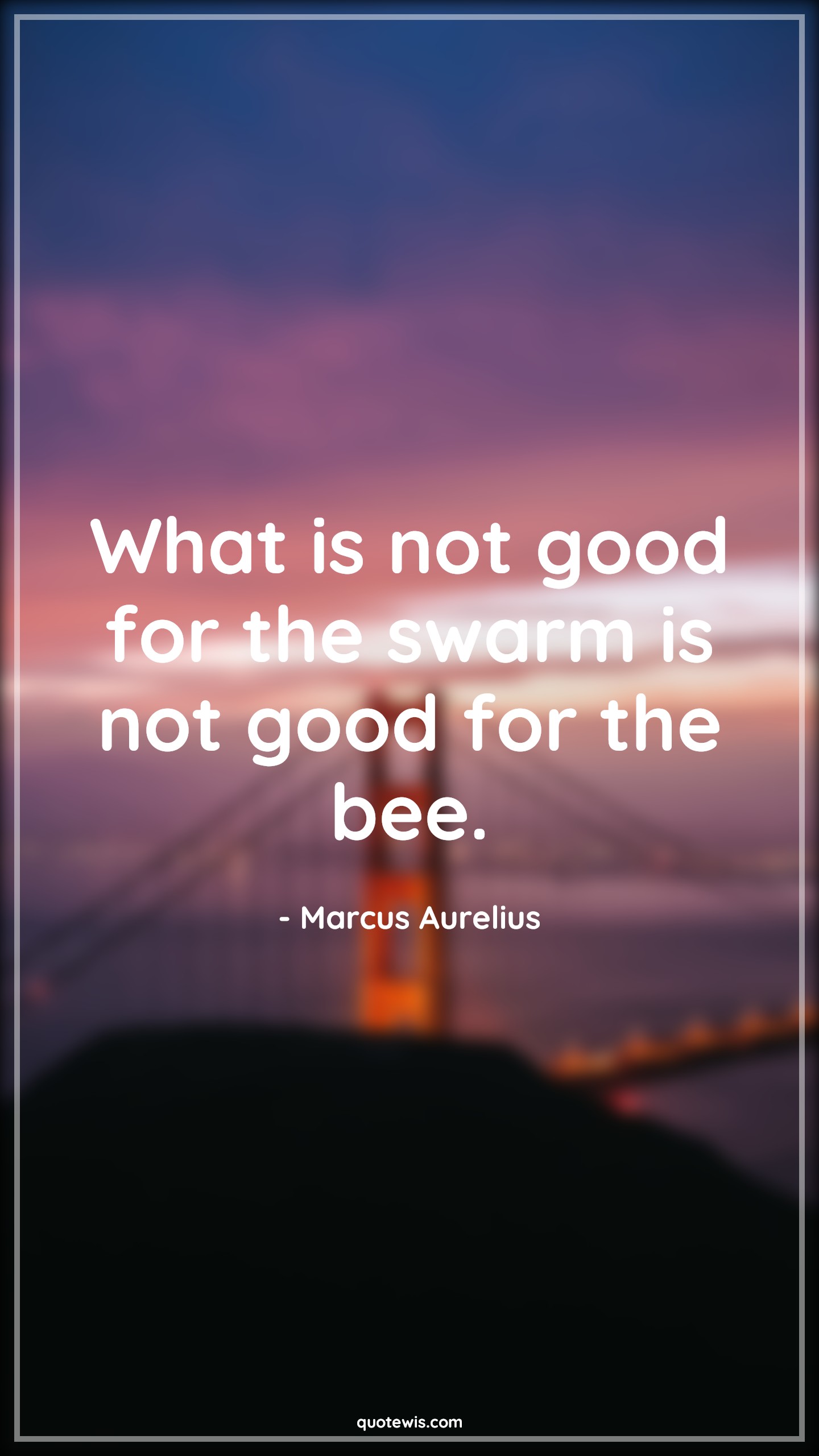 What is not good for the swarm is not good for the bee. - Marcus Aurelius Quotes | 