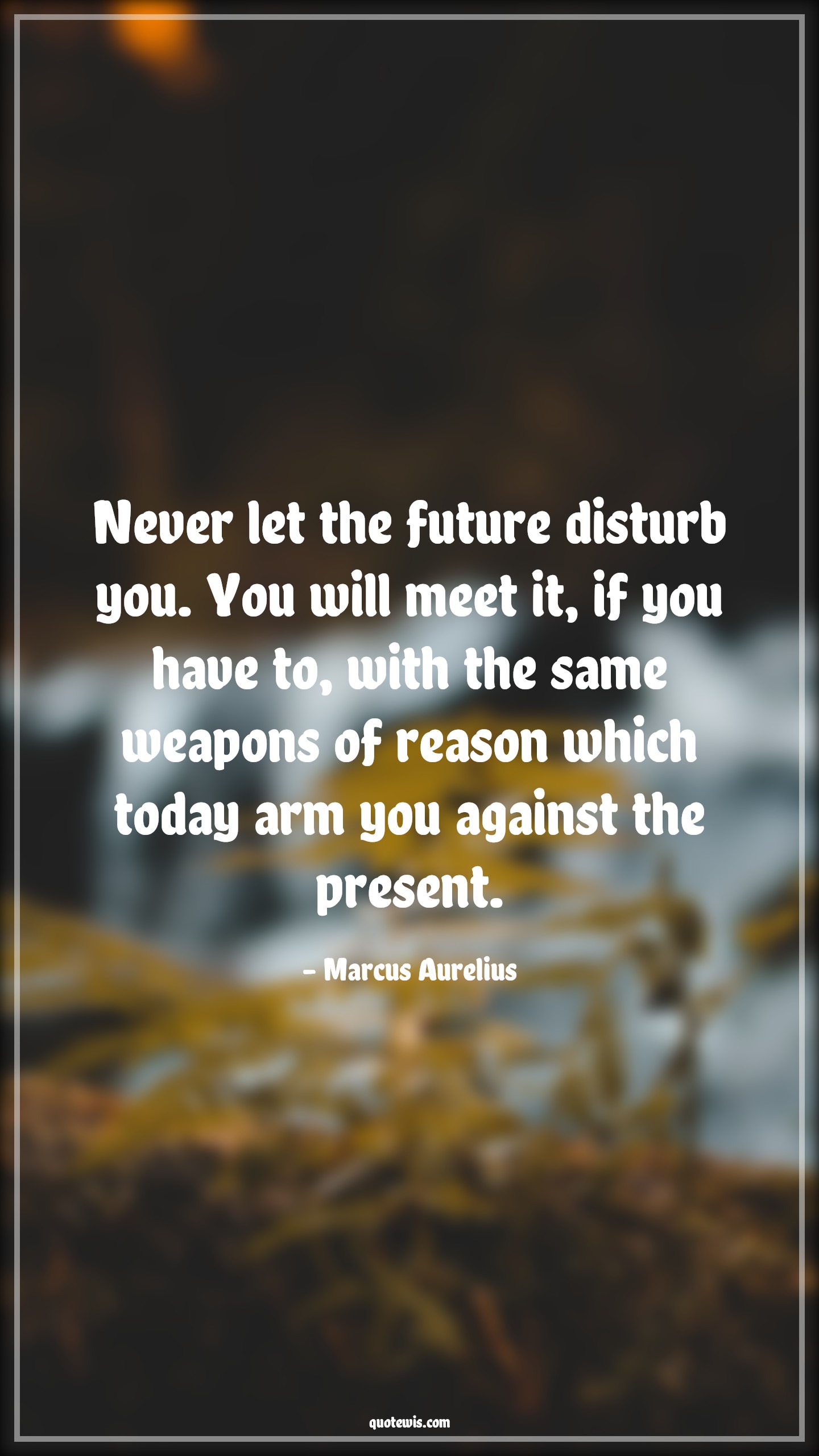 Never let the future disturb you. You will meet it, if you have to, with the same weapons of reason which today arm you against the present. - Marcus Aurelius Quotes |  Future Quotes, Present Quotes, Live in present Quotes,