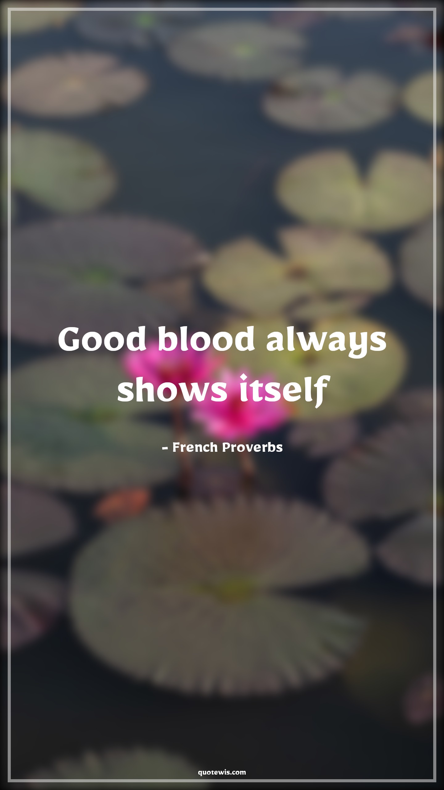 Good blood always shows itself - French Proverbs Quotes | 