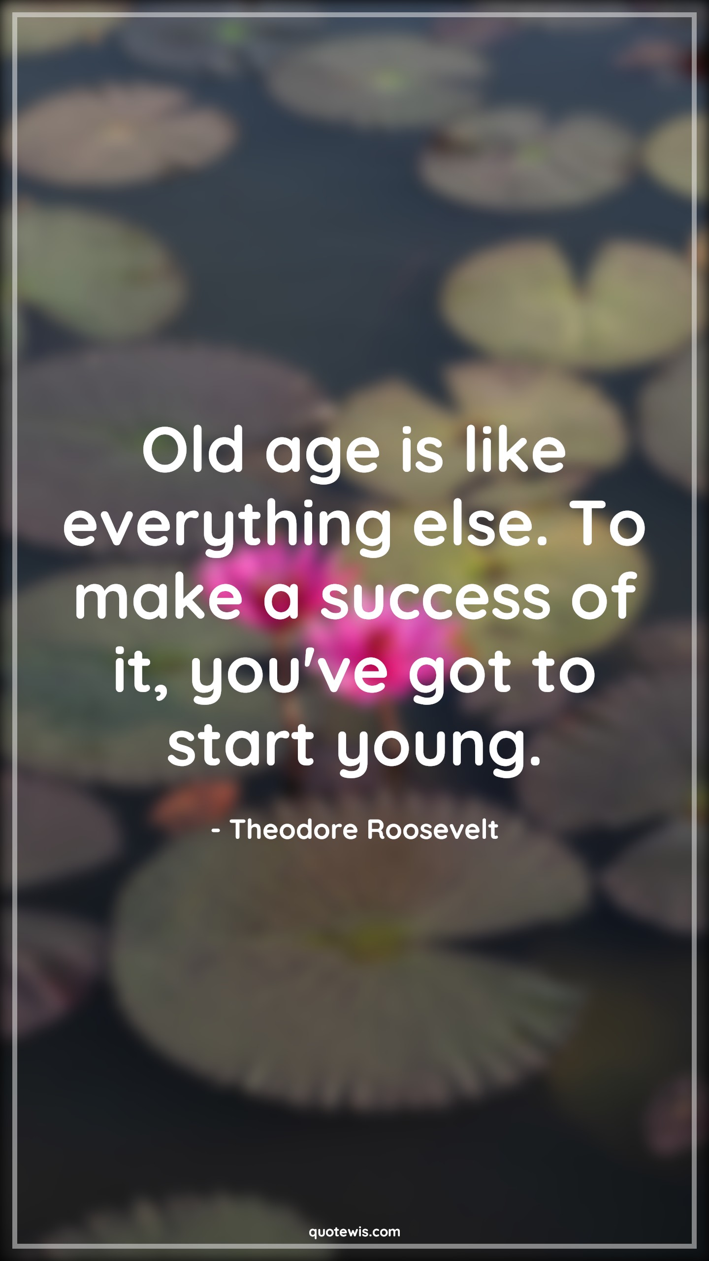 Old age is like everything else. To make a success of it, you've got to start young. - Theodore Roosevelt Quotes |  Age Quotes,