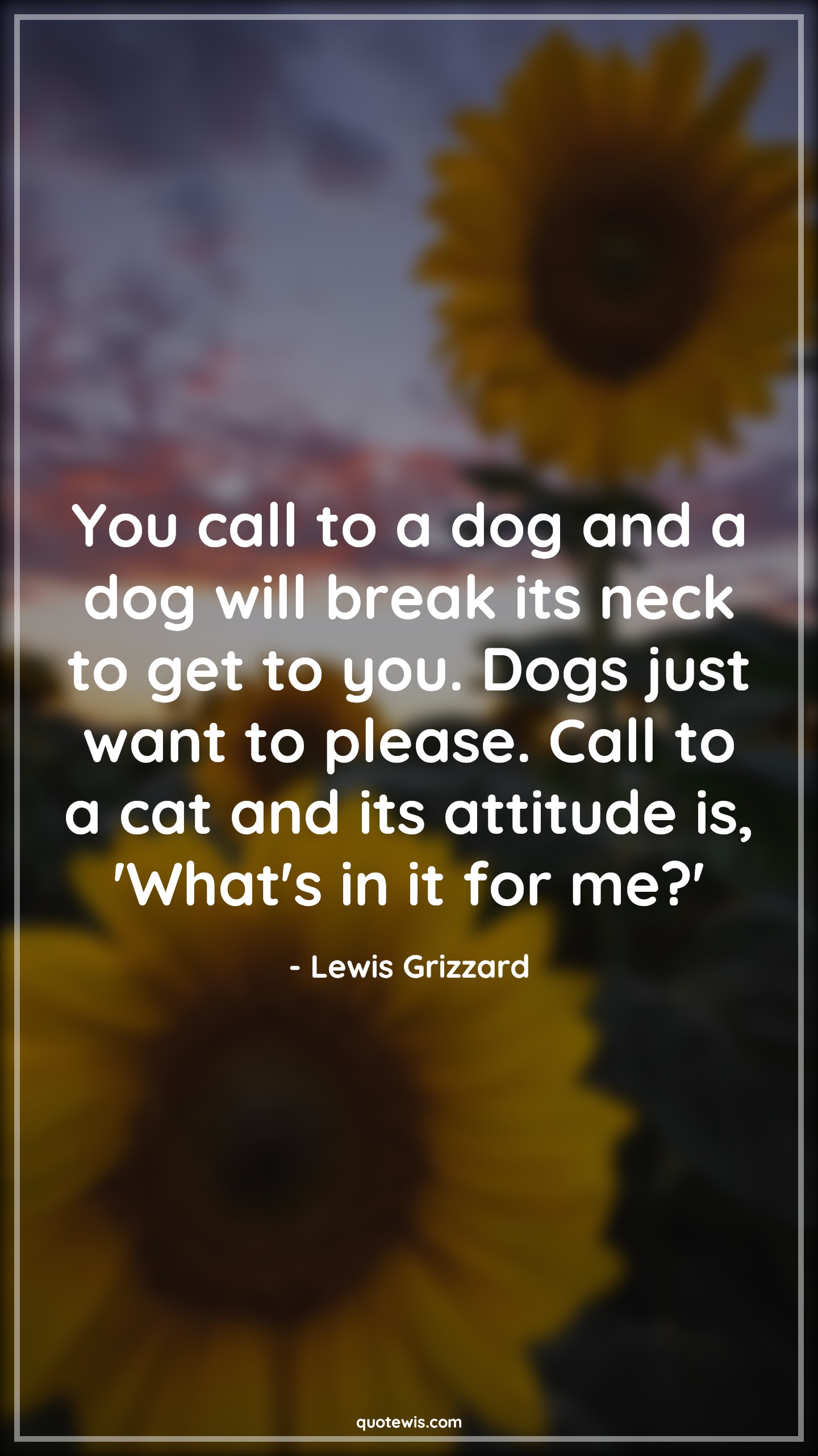 You call to a dog and a dog will break its neck to get to you. Dogs just want to please. Call to a cat and its attitude is, 'What's in it for me?' - Lewis Grizzard Quotes |  Attitude Quotes,