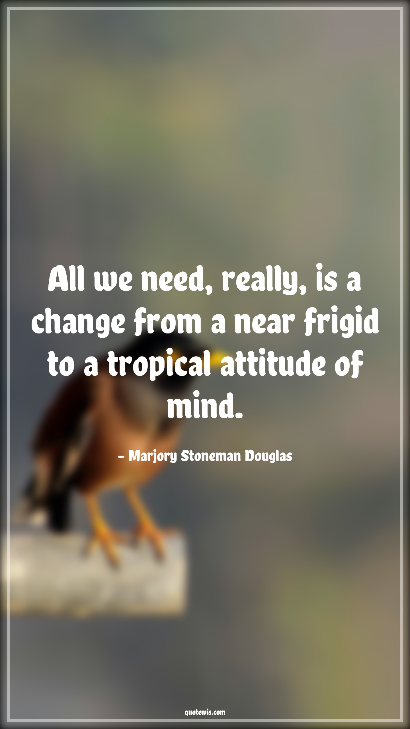 All we need, really, is a change from a near frigid to a tropical attitude of mind. - Marjory Stoneman Douglas Quotes |  Attitude Quotes,