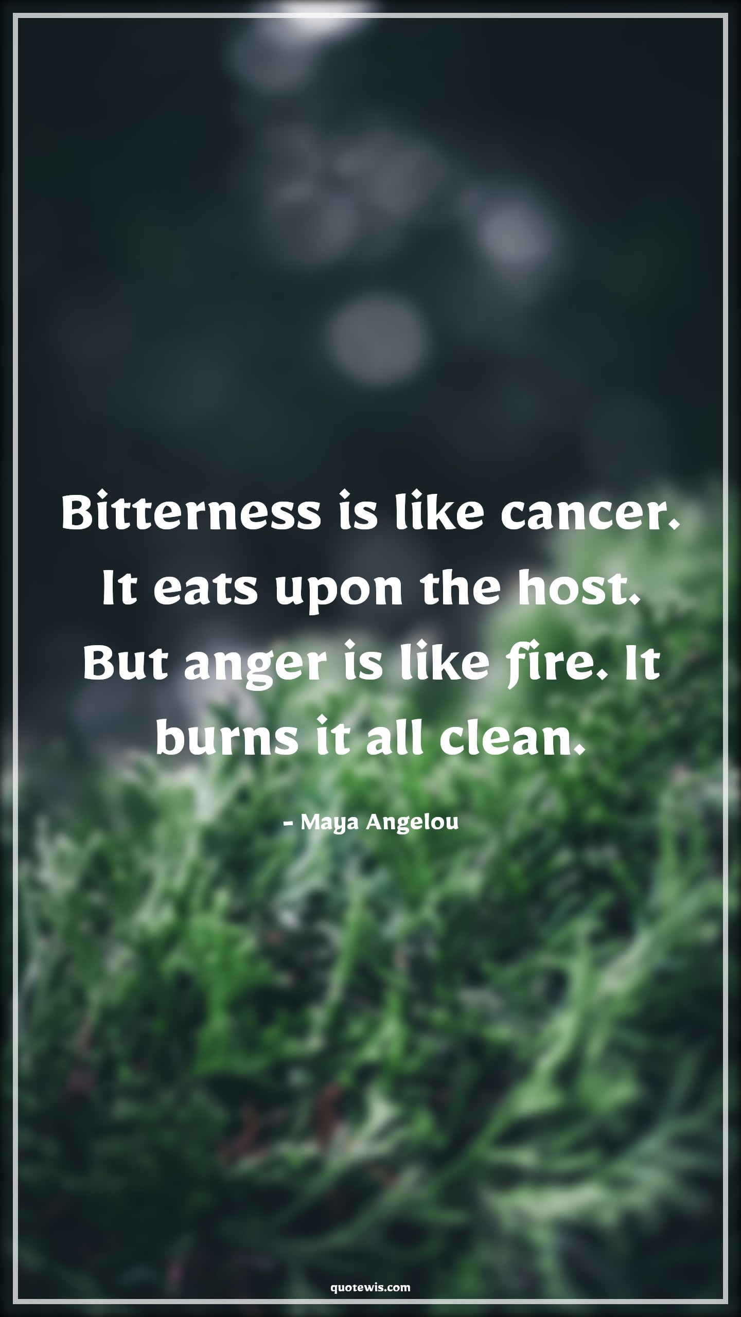 Bitterness is like cancer. It eats upon the host. But anger is like fire. It burns it all clean. - Maya Angelou Quotes |  Anger Quotes,